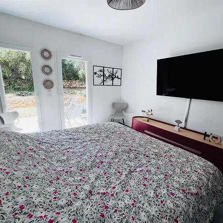 Grand Confort Apartment
